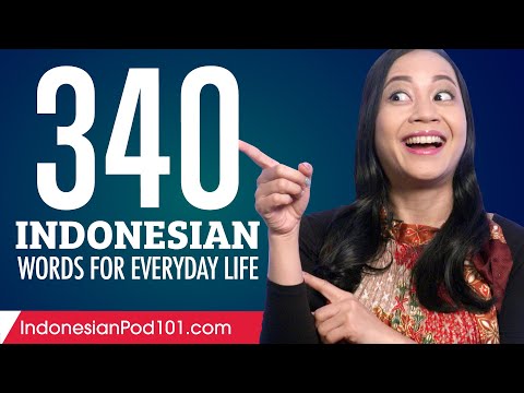 340 Indonesian Words for Everyday Life - Basic Vocabulary #17
