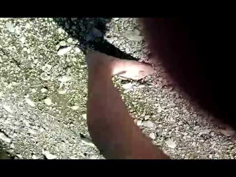 Mrena 2.3kg...najlon 0.15colmic i 0.10 stroft. Tanca