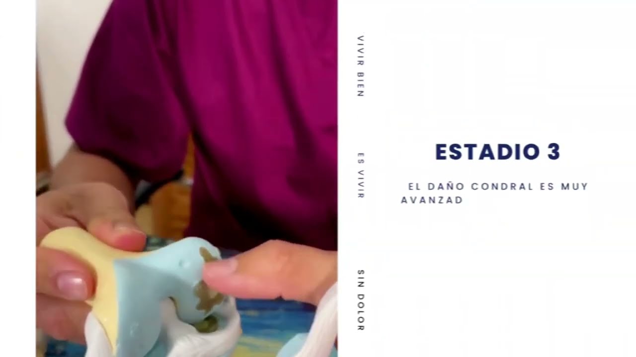 Jhon Jairo Galvis Bermudez-53