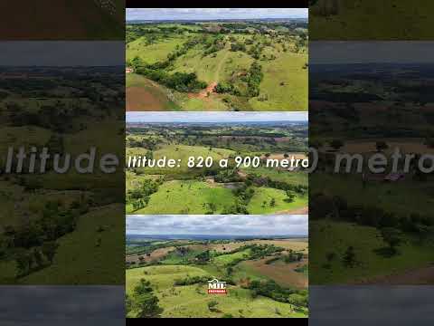 Fazenda 127 alqueires ( 614,68 hectares) Bela Vista de Goiás #fazendaavenda #agro