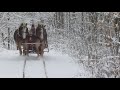 Snowy horse-drawn sleigh ride through the woods