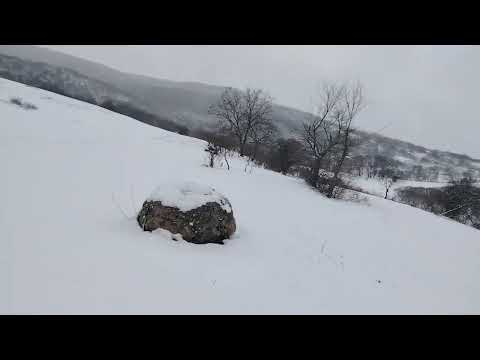 SEDAN KENDİ 6 İLK QAR