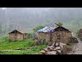 Nepali Mountain Village Life | Rainy Day in Dhotachaur Village | Most Peaceful Relaxing Village Life