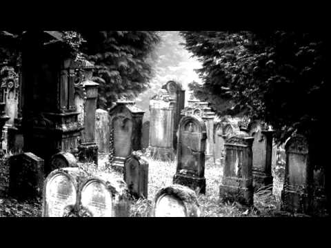 Ethereal Forest - An Ode to the Fallen