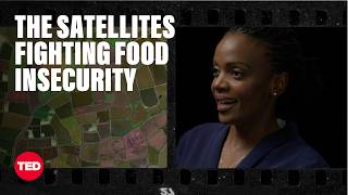 How Satellites Are Supporting Farmers Across Africa | Catherine Nakalembe | TED