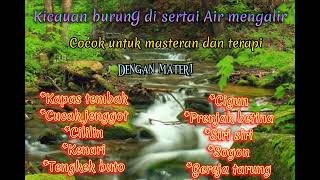 Download lagu Masteran burung lomba di sertai suara air mengalir dan jeda mp3