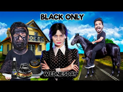 Using Only Black Colour For 24 Hours || Black Only Challenge || HUNGRY BIRDS