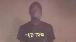 Paid Trell x No Cap pt 2