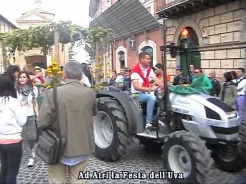 servizio " AD ATRI LA FESTA DELL'UVA "