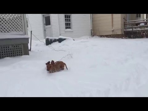 2016-01-23 Audi slow motion drifting in snow