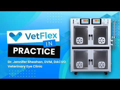 VetFlex ICU in Practice