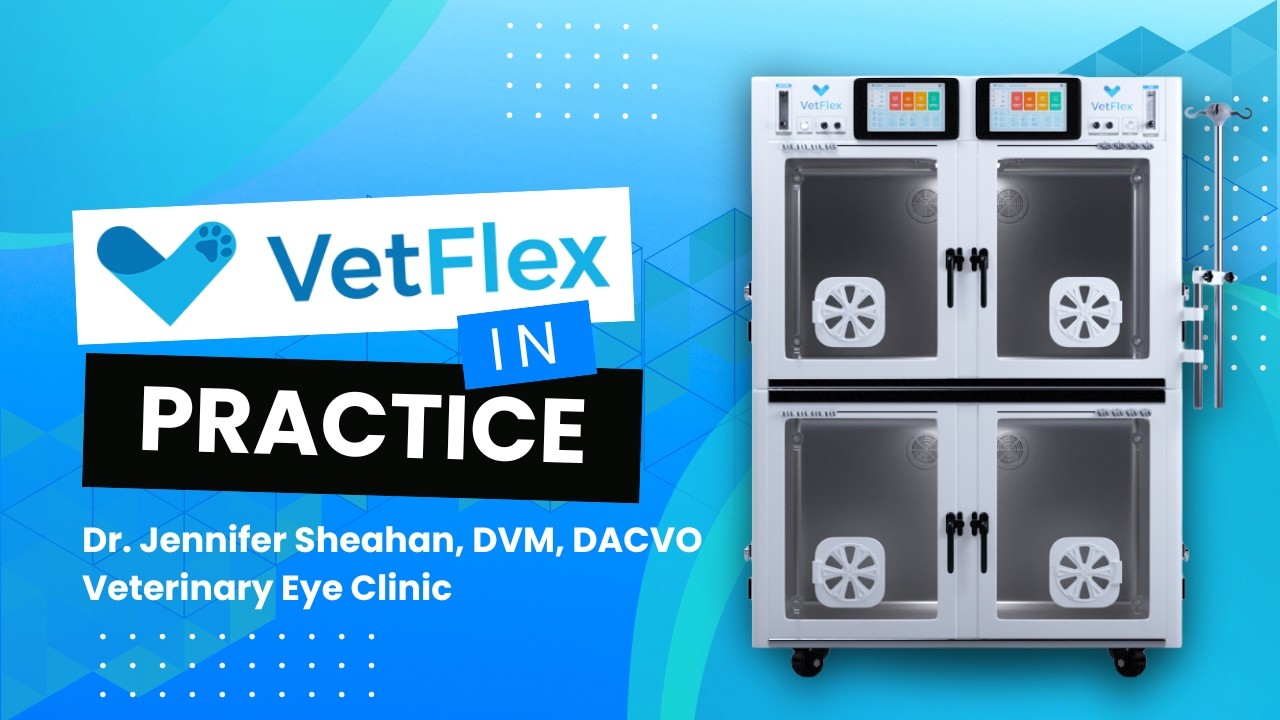 VetFlex ICU in Practice