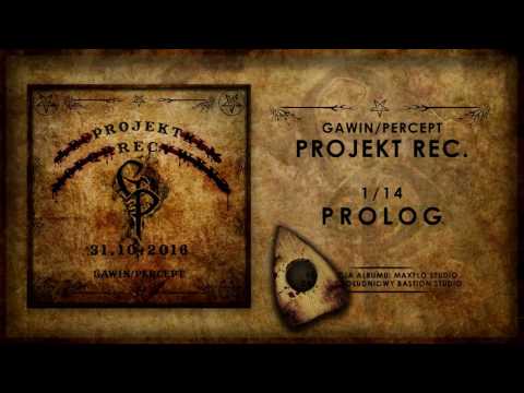 1. Gawin/Percept - Prolog || Projekt Rec. (2016)