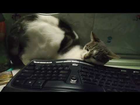 Sabriel and the quest of the lost sticky note