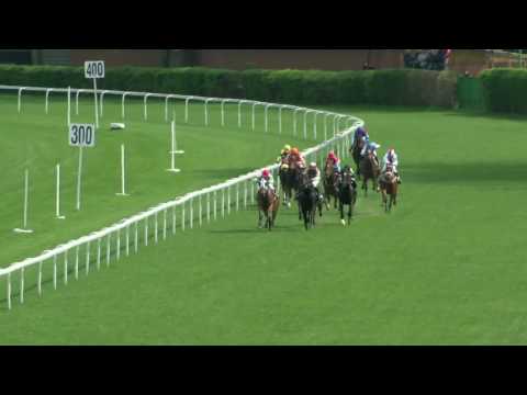 BA 9.4. Dostihy 1 - Cena Kia Rio