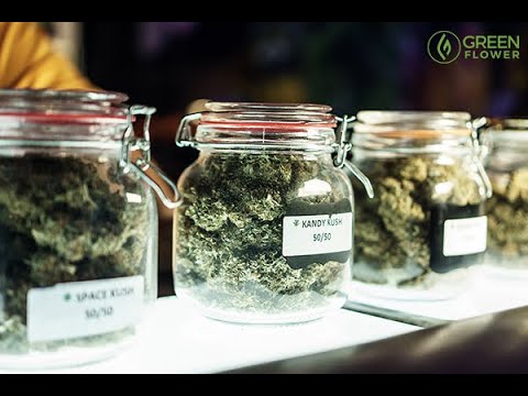 Core Knowledge Every Cannabis Budtender Should Know / Max Montrose / Green Flower