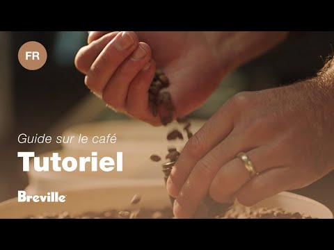 miniature vidéo