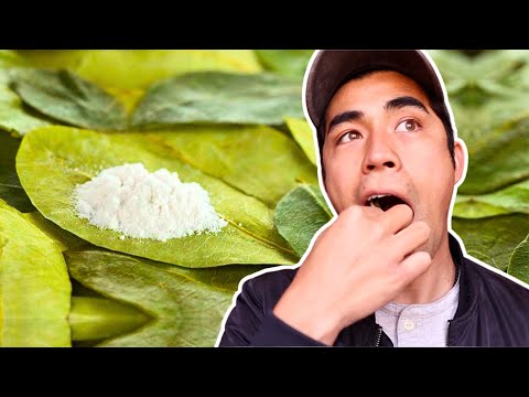 I Chewed Coca Leaves in Peru