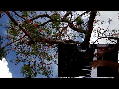 AMARTE SOLO A TI, HIMNO 529 HEP PIANO INSTRUMENTAL