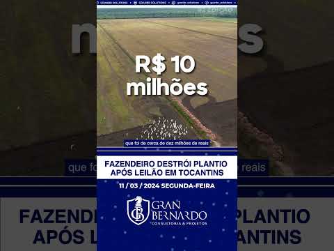 FAZENDEIRO DESTRÓI PLANTIO APÓS LEILÃO EM TOCANTINS