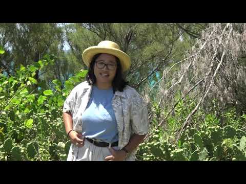 WOL Virtual Camp: Pic A Plant Game