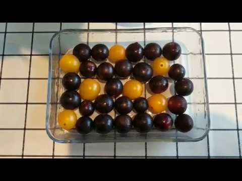 What's the difference, metal, solid solution, and supersaturated solid solution?