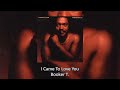 I Came To Love You - Booker T. 