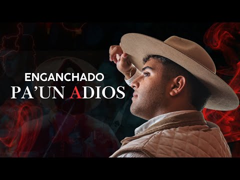 Vidaleros - Enganchado pa’ un adiós (A puro dolor/Por el contrario)