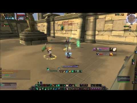 5.4 Arenas MW Monk - Arms Warrior