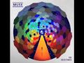 Undisclosed Desires (Bass Main Vocals and ...