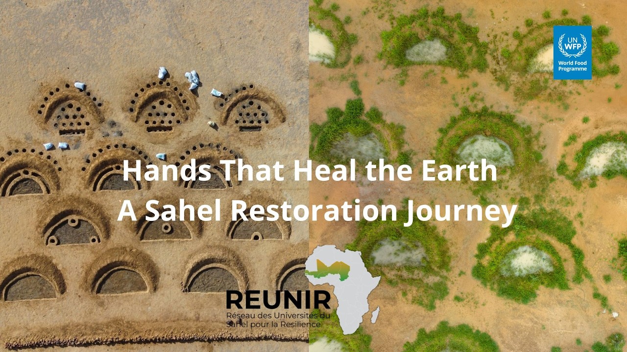 Hands That Heal the Earth | A Sahel Restoration Journey
