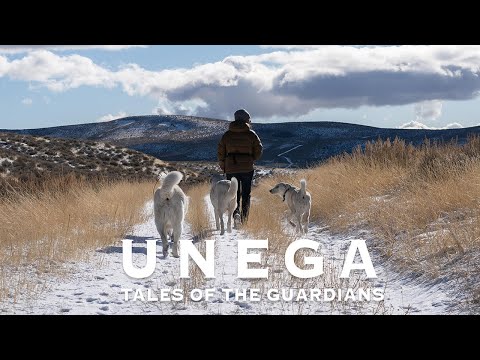 Unega | Tales Of The Guardians OFFICIAL TRAILER Unega | Tales Of The Guardians trailer thumbnail