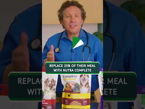 How Can I Switch My Dog's Food To Healthy Freeze Dried Raw