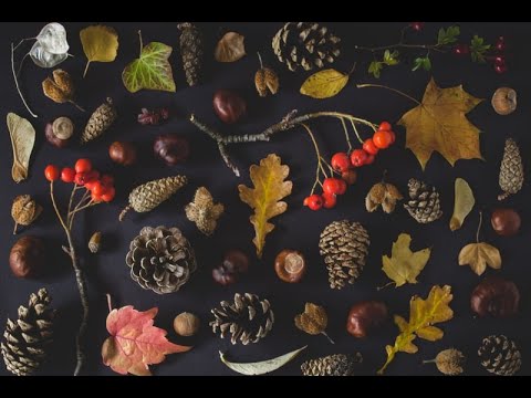 2021.10.10 Seattle Unity Sunday Service