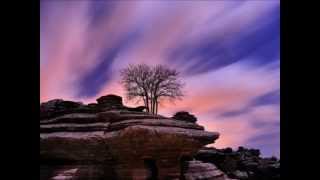 Aphid Moon - Electronic Membrane