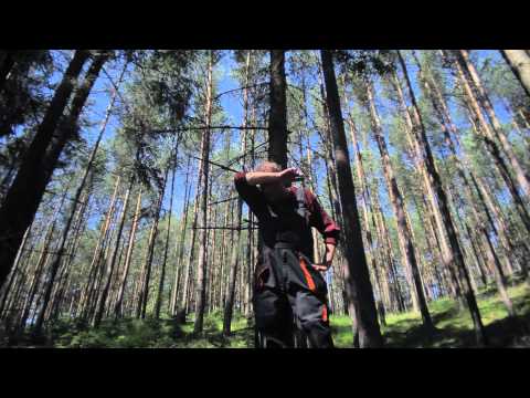 OLO WALICKI KASZEBE II / LAS / tekst: DOROTA MASŁOWSKA (official video)