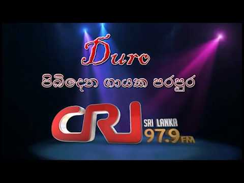 Pibidena Gayaka Parapura - P. P. Shyamal