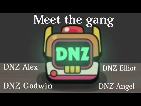 Meet the DNZ gang!