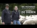 Het Heuvelland: De Dieren