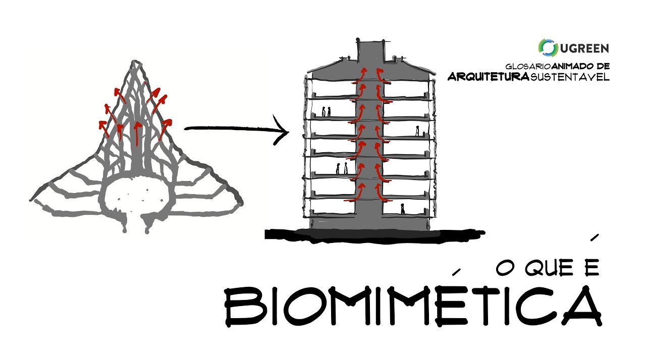 Como Funciona a Biomimética - Glossário Animado de Arquitetura Sustentável #16