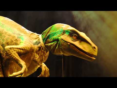 Play Video Youtube Video