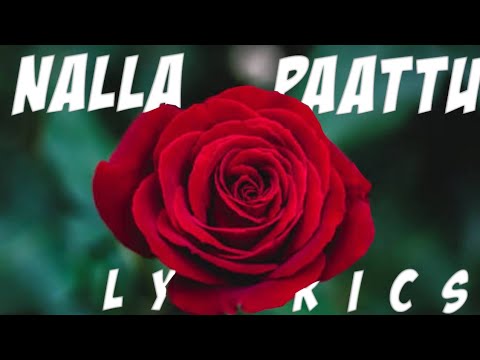 Nalla Paatu Lyrics|| Rabbit Mac || My Favourite lines