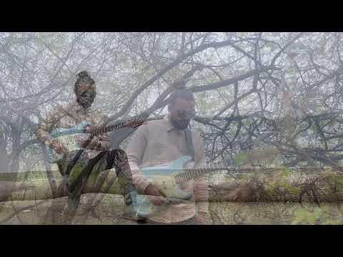 My New Guitar 🥶 / Schecter Nick Johnston Traditional SSS Diamond Series