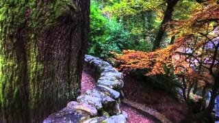 E venne con l'autunno . Tommaso Quattrocchi