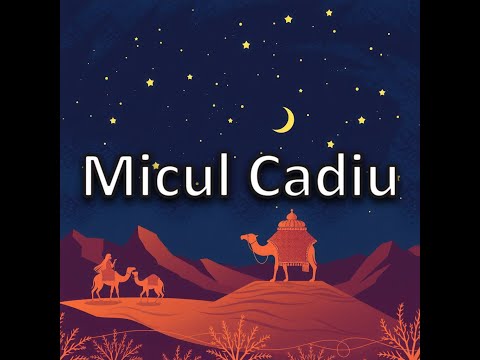 O mie și una de nopți - Micul cadiu