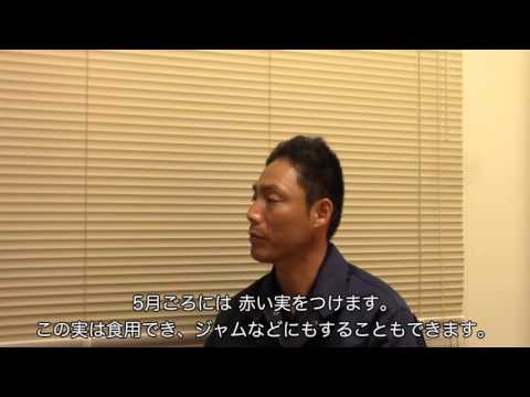 環境にとって危険