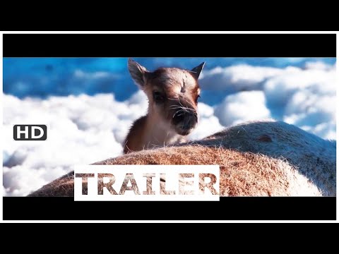 A REINDEER'S JOURNEY "Ailo's Journey" - Animal, Adventure Trailer - 2019