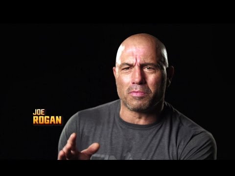 Fight Night Chicago: Holm vs Shevchenko - Joe Rogan Preview