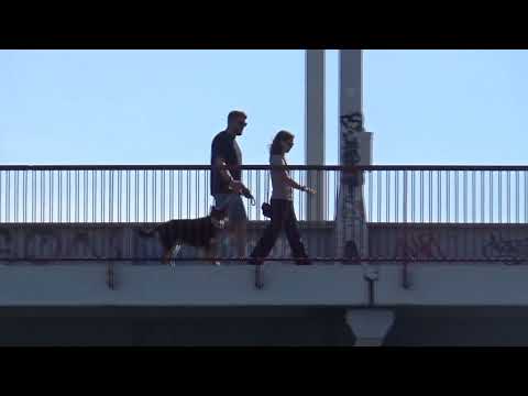 Canal And Lock Voyage Enkhuizen To Utrecht