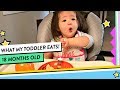What My Toddler Eats in a Day | 18 Months Old Meals & Snacks | HelloHannahCho